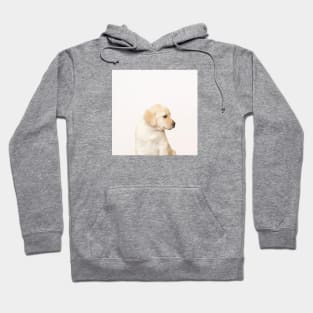 Labby the Labrador Dog Hoodie